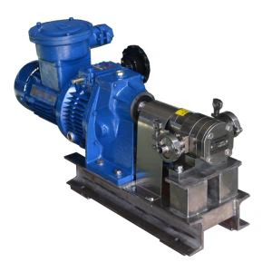 بیرونی سٹینلیس سٹیل گیئر پمپ