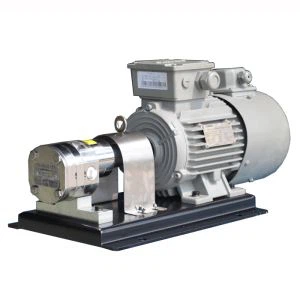 سٹینلیس سٹیل روٹری گیئر پمپ